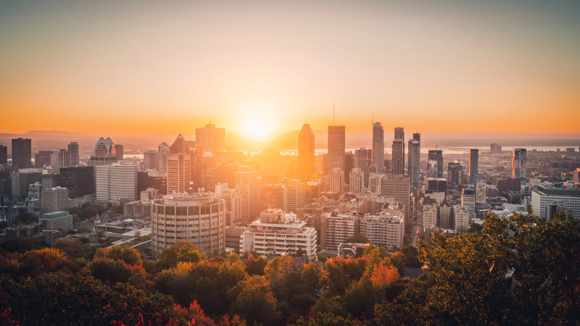 Montreal vista desde el monte Royal, el sol tras las torres y árboles de otoño en primer plano.