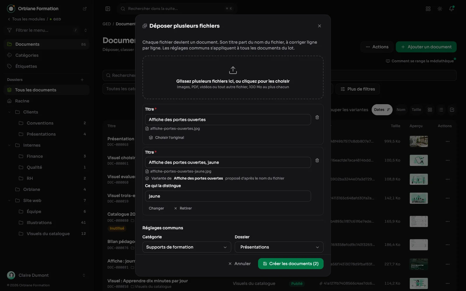 La fenêtre « Déposer plusieurs images » : une affiche et sa version jaune, proposée comme sa variante, et les réglages communs du lot