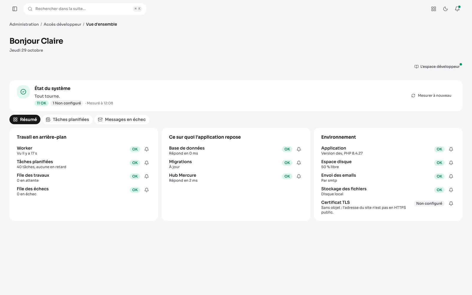 Die Übersicht des Entwicklerbereichs: der Systemzustand, Worker, Aufgaben, Warteschlangen, Datenbank, E-Mails und Speicher auf Grün.