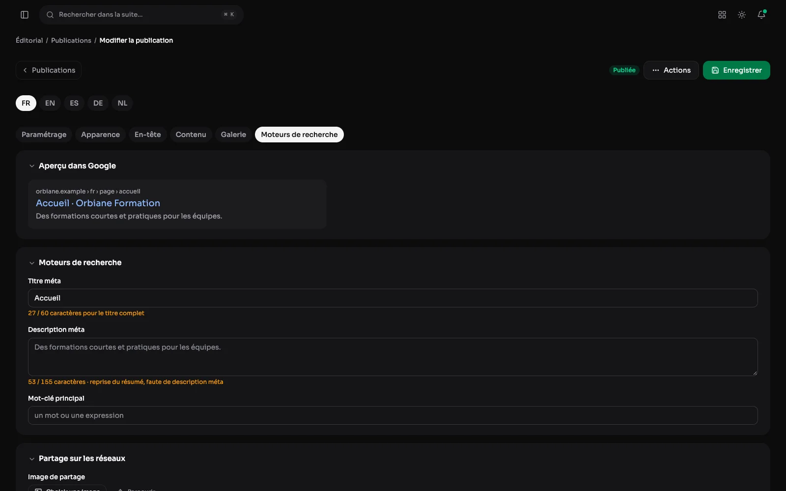 L'onglet des moteurs de recherche : titre et description avec le compte de caractères, mot-clé, URL canonique et désindexation.